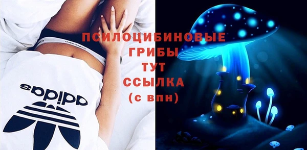 крисы Армянск