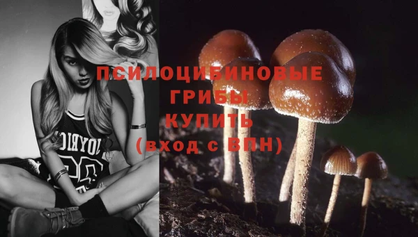 тгк Алексин